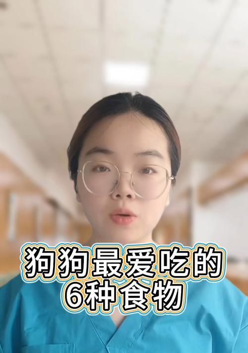小狗的饮食宝典（一份详细的小狗饮食指南，满足你对宠物饮食的所有疑问）