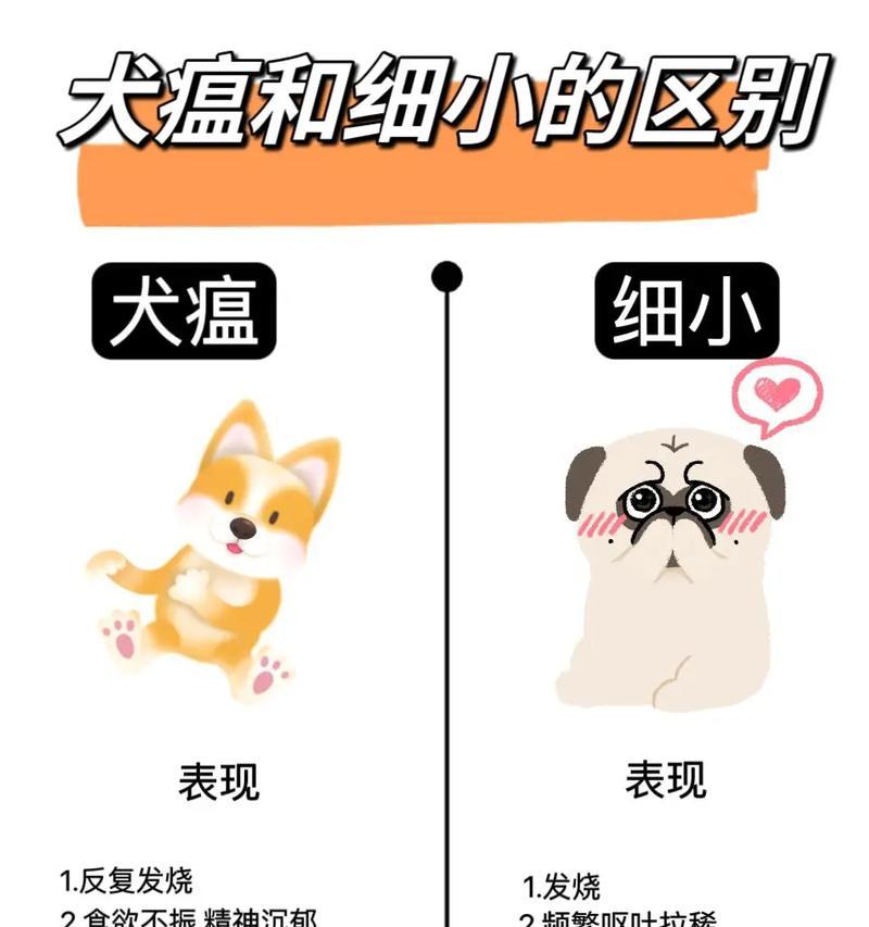 犬瘟的症状与防治方法（了解狗狗犬瘟的主要症状及预防措施）