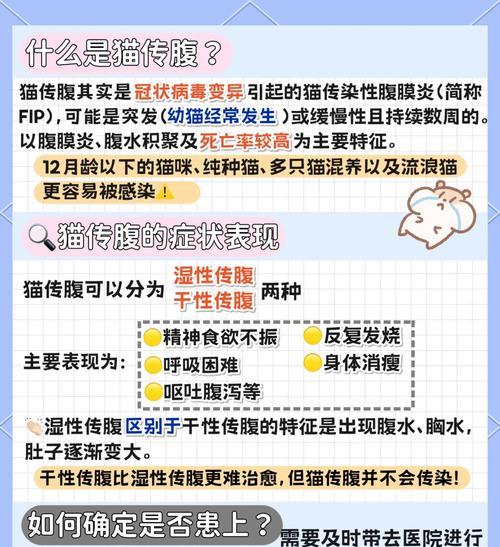 猫湿性传腹（一探猫湿性传腹的奥秘，关注病毒潜伏期、病症和生存时间）