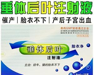 狗狗缩宫针药效究竟需要多久？（了解狗狗缩宫针药效的作用时间和关键因素）