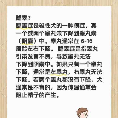 狗狗隐睾手术后的恢复时间及注意事项（了解狗狗隐睾手术恢复的关键要点，助你宠物康复更快）
