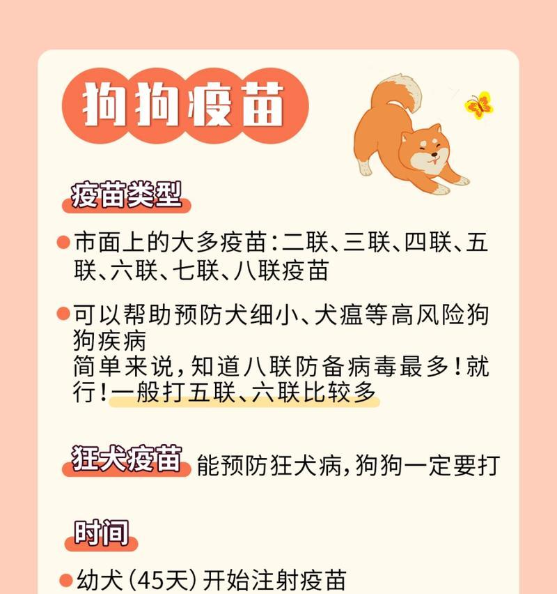 狗狗打完育苗后的驱虫时机与注意事项（为您的爱犬保驾护航｜狗狗健康不容忽视）