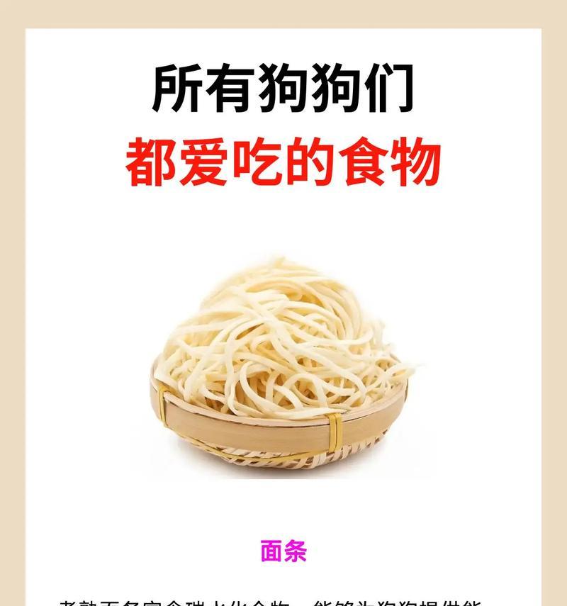 狗狗容易消化的食物有哪些？（提供营养又不伤害肠胃，了解狗狗易消化的食物！）