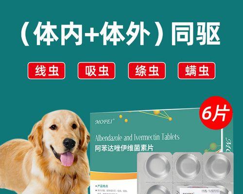 母狗生完后多久能进行驱虫？（驱虫时间及注意事项）