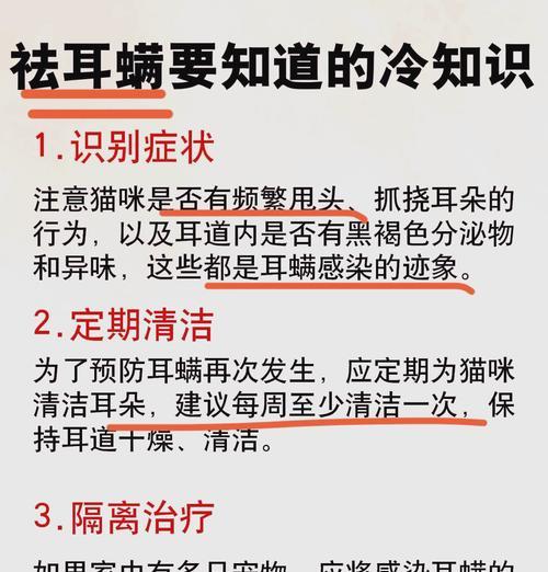猫咪耳螨治疗全方位手册（解决猫咪耳螨反复好不了的问题）