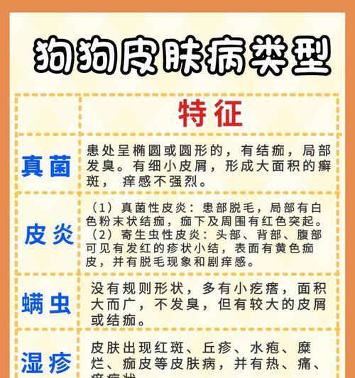 狗皮肤真菌感染的症状与治疗（揭秘狗皮肤真菌的传染途径与预防措施）