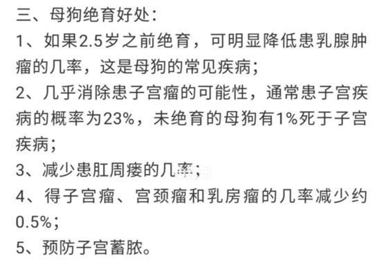 狗狗绝育后康复需要多久？（了解狗狗绝育手术的恢复期及注意事项）