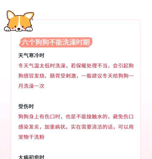 狗狗生完宝宝后多久可以洗澡？（宝宝的健康需要正确的洗澡时机！）