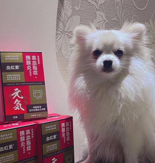 三个月大的博美需要多少狗粮？（保证狗狗饱食为主要目标）