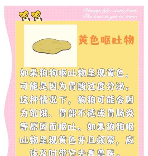狗狗为什么会吃了驱虫药就开始呕吐？（了解狗狗吃驱虫药后呕吐的原因及处理方法）