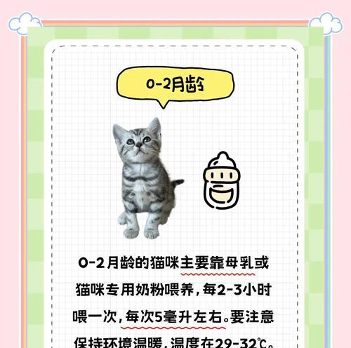 新手铲屎官课堂（降低小猫发病率的有效方法与技巧）