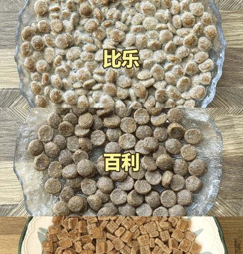 正确泡狗粮的方法与时间（以用开水泡狗粮要泡多久？）