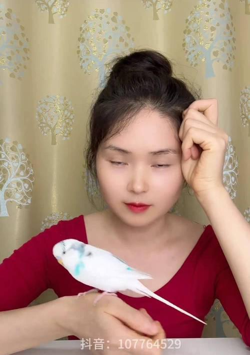 教你如何训练鹦鹉学说话（探索不同品种鹦鹉的学舌能力及培养方法）