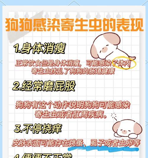 狗子驱虫攻略（如何正确给你的狗子进行驱虫保健）