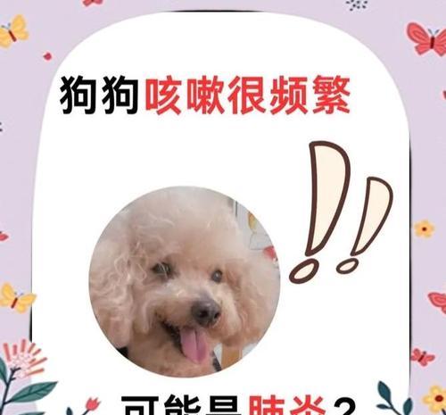 狗狗感冒肺炎的康复时长及相关注意事项（了解康复时间，守护爱宠的健康）