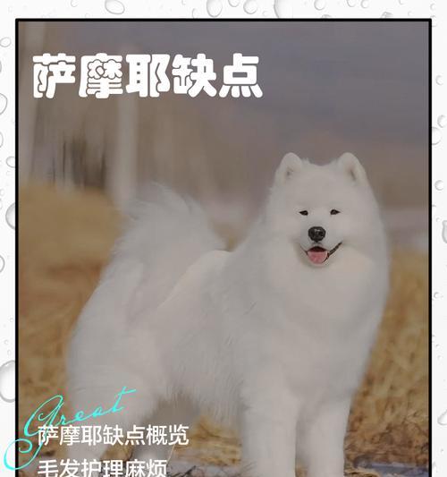 萨摩猴脸期的发生时间及特征（揭秘萨摩猴脸期——了解其周期和表现特征）