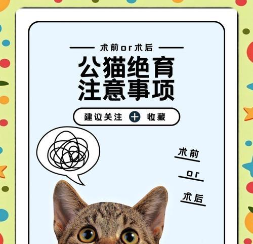 公猫绝育需要多久时间？（了解公猫绝育手术的时间和过程）