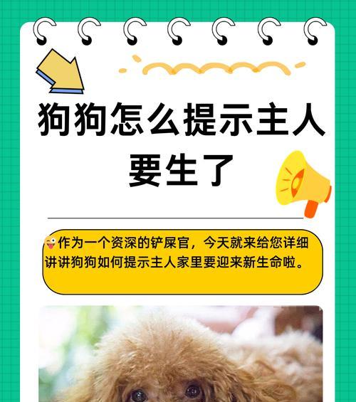 狗为何对屎情有独钟？（探究狗为何食用屎便的原因及其影响）