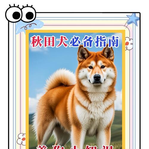 秋田夏犬的寿命有多长？（了解秋田夏犬的寿命以及影响因素）