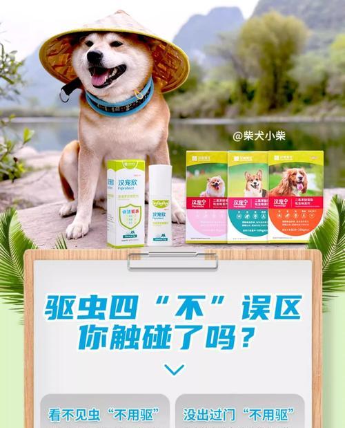 三个月大的狗狗需要多久一次体外驱虫药？（科学驱虫时间表以及相关注意事项）