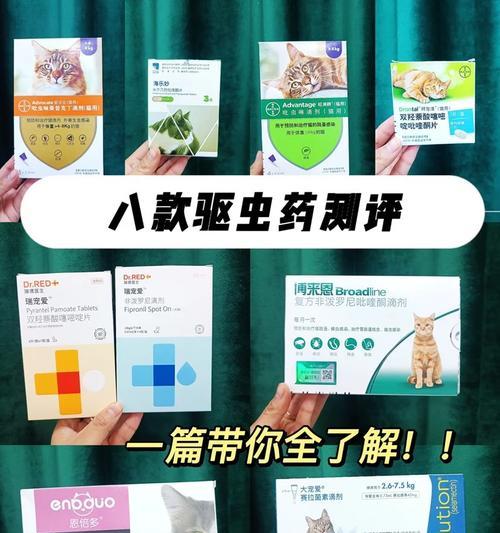 拜宠清的疗效及使用时间（拜宠清吃了多久见效？）