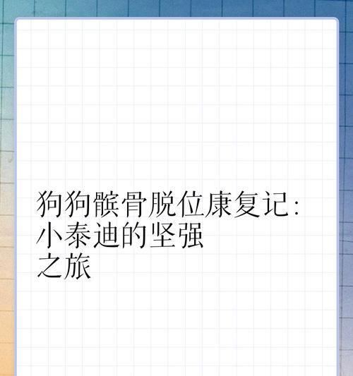 狗狗髌骨手术出院时间及注意事项（了解狗狗髌骨手术的复苏过程，为你的爱宠提供最佳护理）