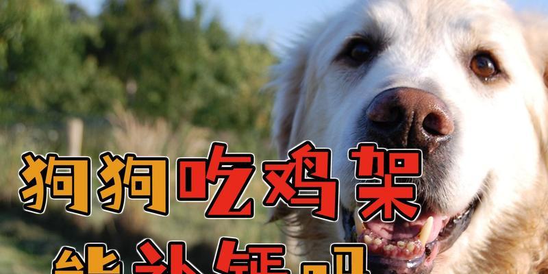 狗吃鸡架能多久长胖？（探究狗狗吃鸡架对体重增长的影响）