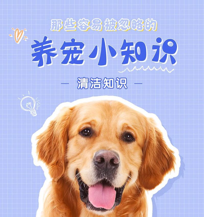 狗狗手术后多久可以洗澡？（安全的洗澡时间及注意事项）