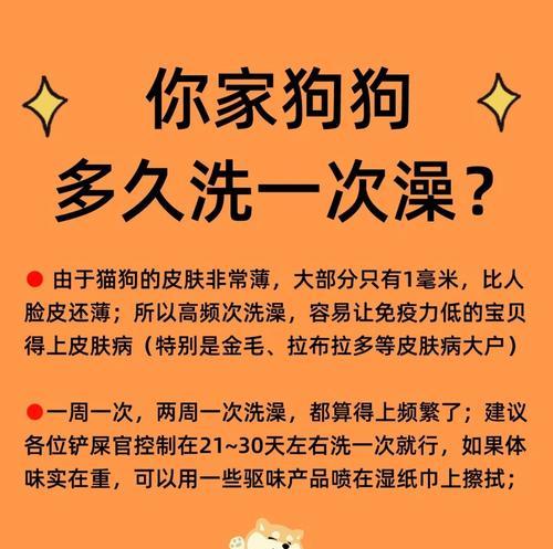 如何让你的拉布拉多爱上洗澡（手把手教你正确给拉布拉多洗澡的方法）