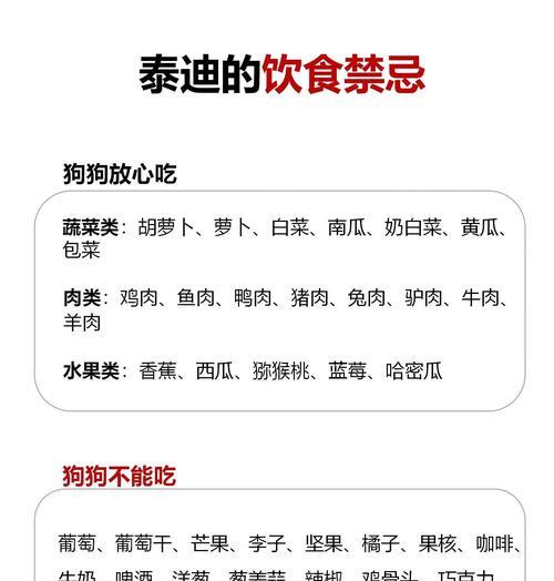 小心！泰迪幼犬不能吃的食物大揭秘！（保护你的泰迪宝宝健康的一些小贴士！）