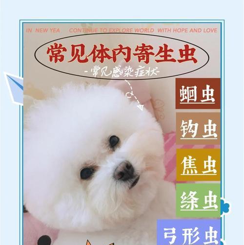 狗狗的寄生虫（揭秘狗狗寄生虫的危害和如何保护爱宠）