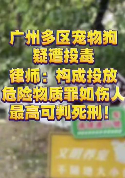 狗被毒死的症状及应对措施（了解狗被毒死的症状，保护你的爱宠）