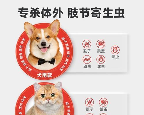 宠物驱虫药（了解常用宠物驱虫药品及使用方法，让你的宠物健康无虞）