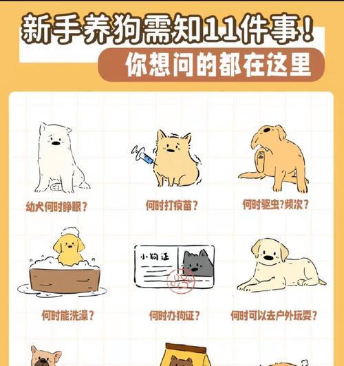 狗狗的进食频率（探讨狗狗进食的最佳间隔时间）