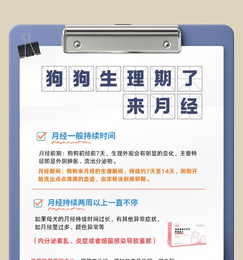 狗狗月经周期及注意事项（了解狗狗的月经周期和如何照顾它们的健康）