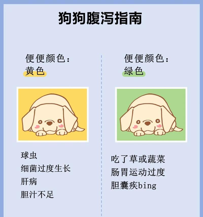 狗狗吃人用阿莫西林的用量及注意事项（了解狗狗用阿莫西林的正确用量，宠物健康才能有保障）