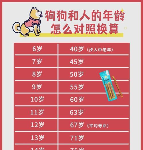 狗狗年龄如何换算人的年龄？（揭秘狗狗年龄转换公式，了解你的狗狗“实际”年龄）