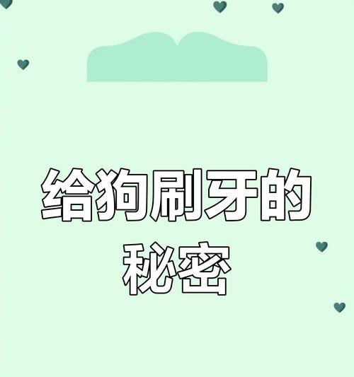 狗主人为什么要给狗狗刷牙？（维护狗狗口腔健康，预防口腔疾病）