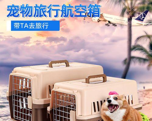 如何选择适合狗狗的航空箱？（挑选航空箱的关键因素及方法）