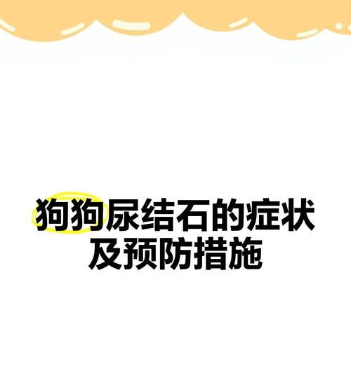 狗结石的症状及预防措施（了解狗结石，保护你的爱犬）
