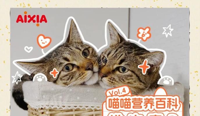 猫的健康离不开维生素B食物（为你的猫提供足够的维生素B，让它健康快乐一生）