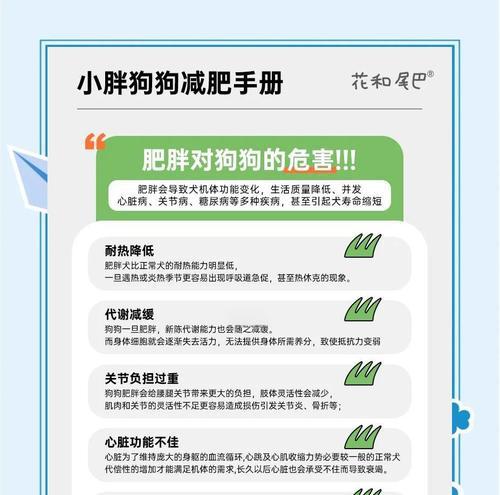狗绝育后体重增加的时间和原因（探究狗进行绝育手术后多久开始发胖及其原因）