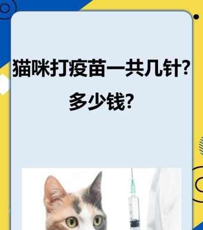 泰迪疫苗接种计划及狂犬疫苗接种（泰迪疫苗接种步骤及注意事项，狂犬疫苗保护宠物的重要性）