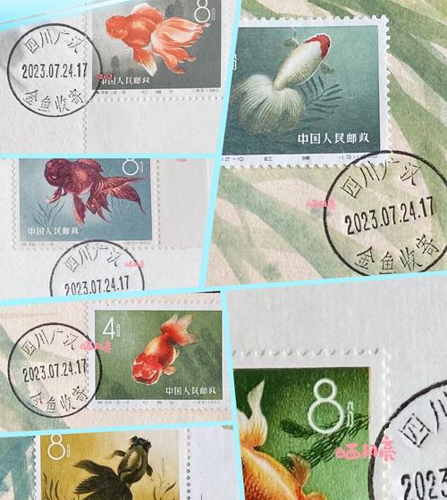 金鱼和鲫鱼的相似特征（深入探究金鱼和鲫鱼的共性）