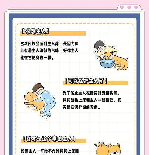 为什么不应该让狗狗“上床”睡觉（对狗狗上床睡觉的几个不利因素及解决方法）
