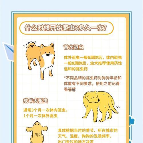 狗狗驱虫药禁食多久才能进食？（宠物养护知识分享，给你的狗狗一个健康的生活！）