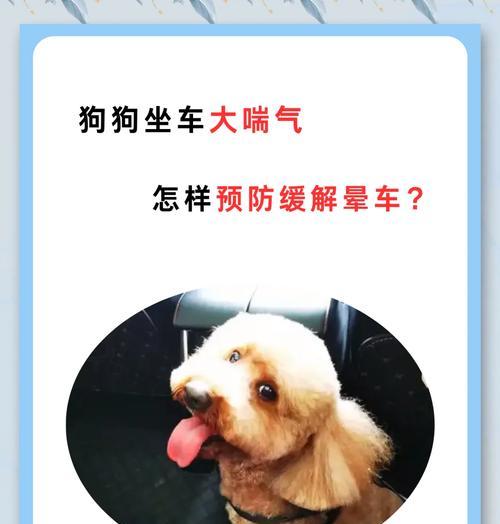 探究狗狗呕吐、拉稀的原因（了解宠物狗为何会出现呕吐和腹泻现象）