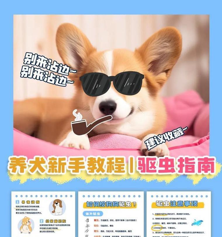小狗驱虫周期和方法（科学养犬，让小狗远离寄生虫的困扰）