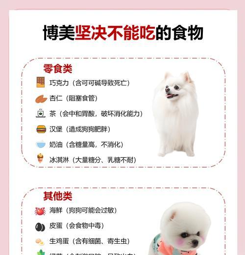 科学喂养宠物狗的饮食习惯（合理分配每日餐食量，保障狗狗健康）