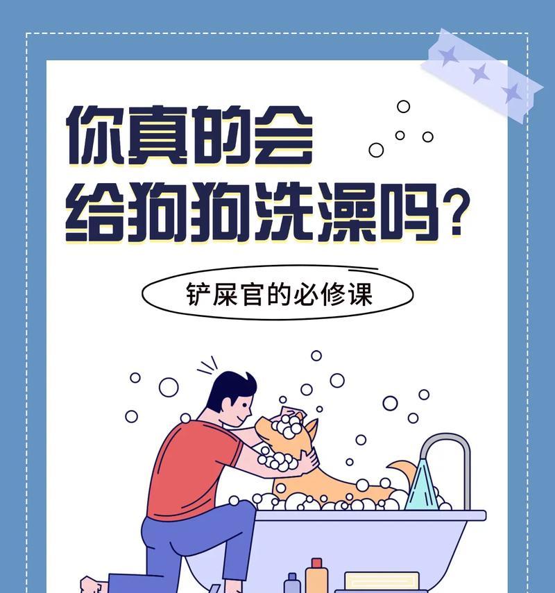 狗狗洗澡频率的正确选择（探讨狗狗洗澡的最佳时间间隔）